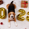 What is the Dog of the Year 2023?