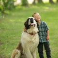 The 15 Most Loyal Dog Breeds: Who is the Most Trusting?