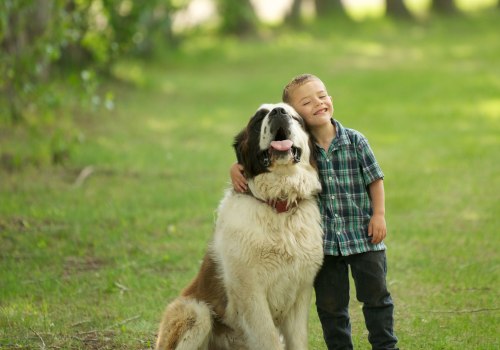 The 15 Most Loyal Dog Breeds: Who is the Most Trusting?